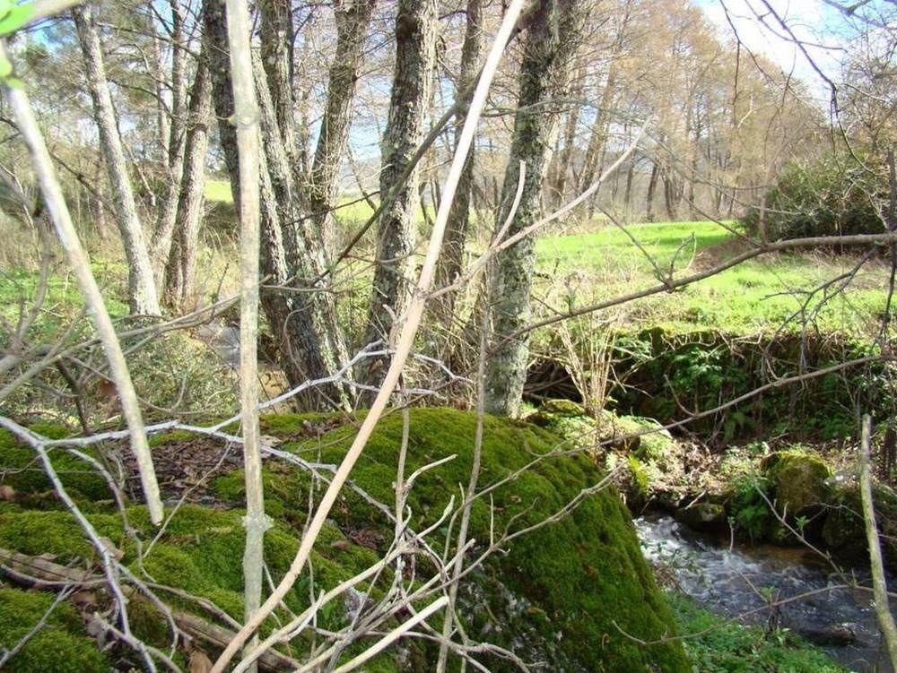 Quinta De Seves ξενώνας Covilhã Εξωτερικό φωτογραφία