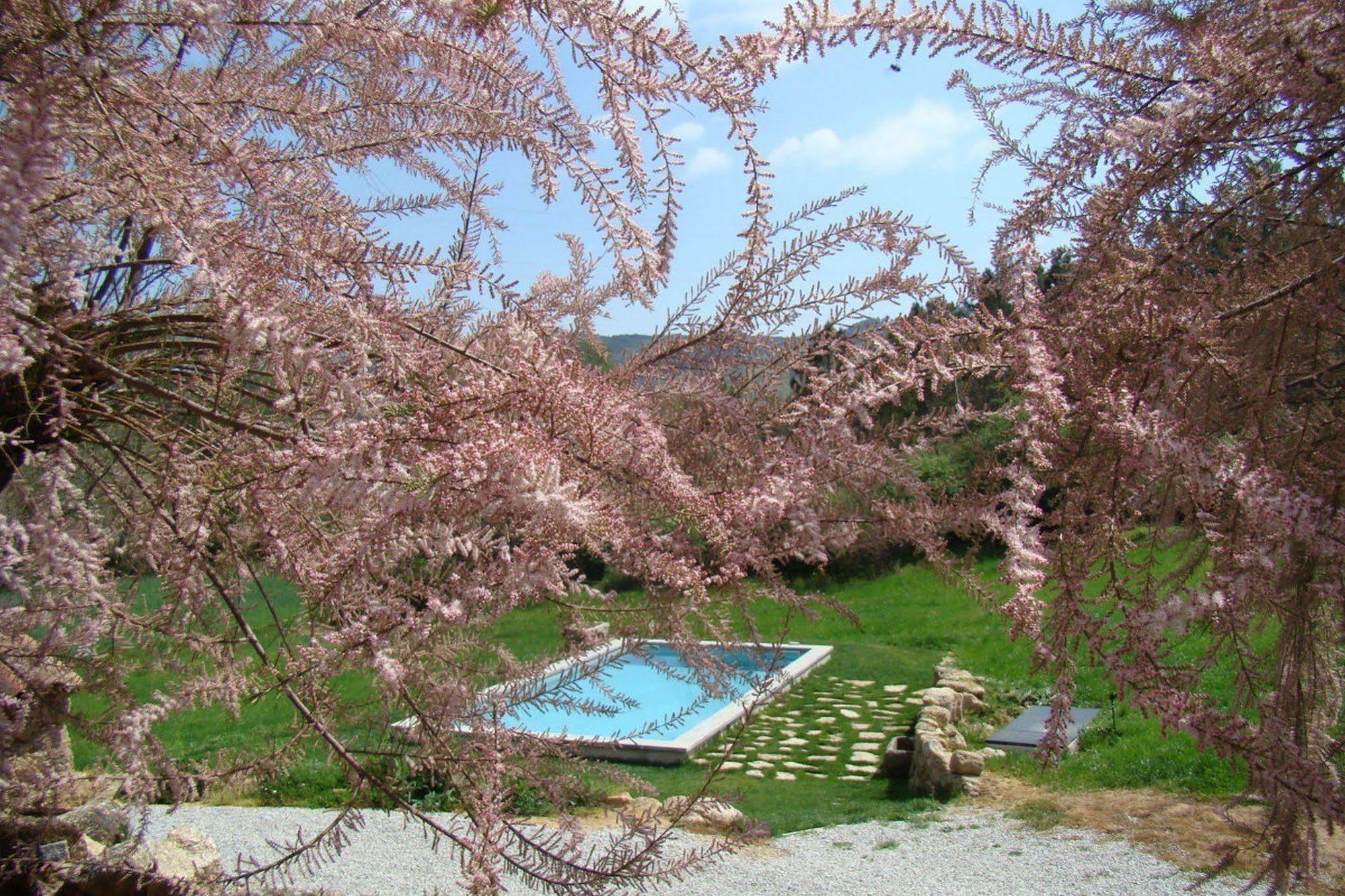 Quinta De Seves ξενώνας Covilhã Εξωτερικό φωτογραφία
